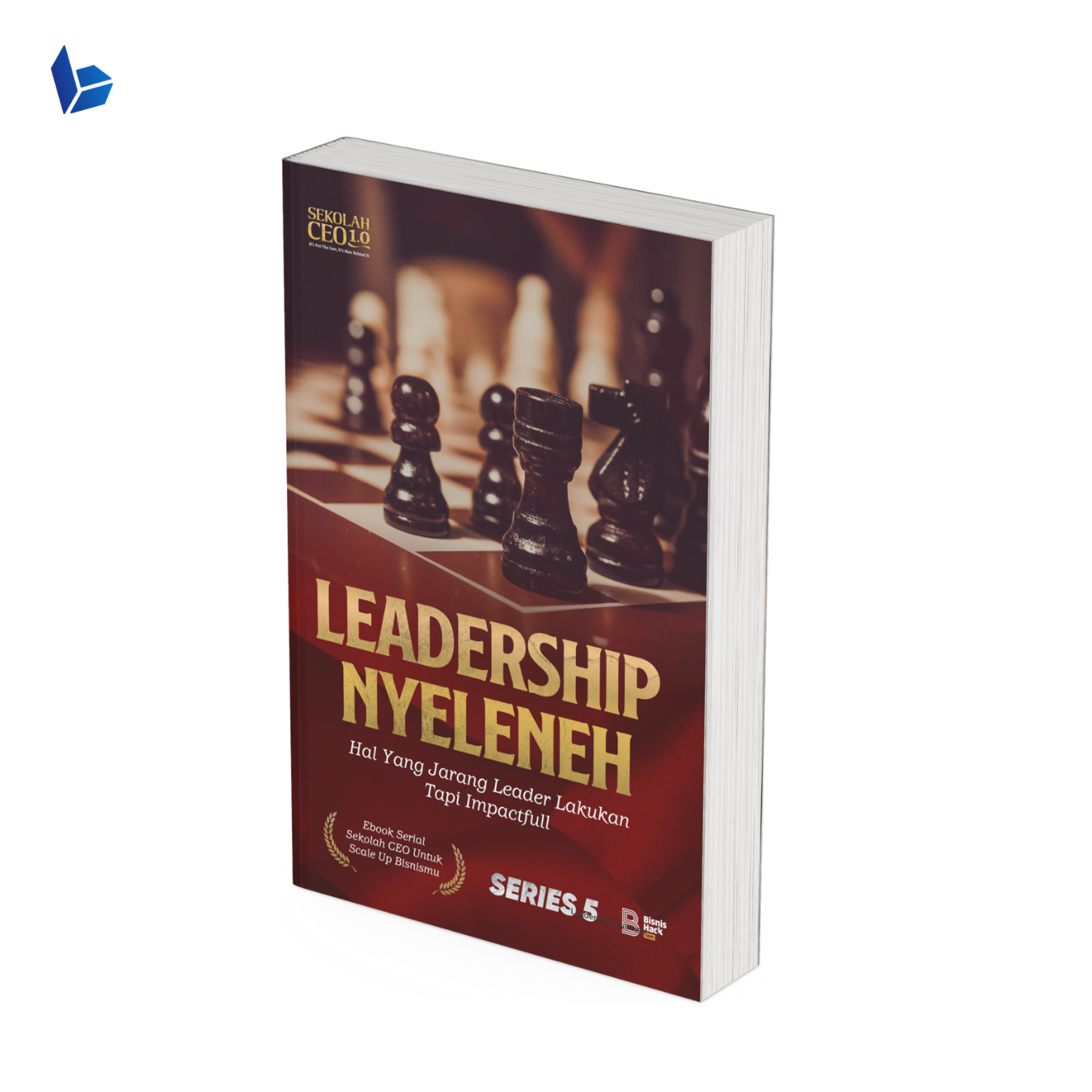 Leadership Nyeleneh - Hal yang jarang Leader lakukan tapi impactful (Ebook)